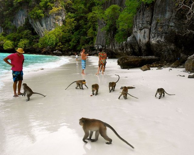 Monkey Beach, South-west Coast, Phi Phi Don, Phi Phi Island, Thailand