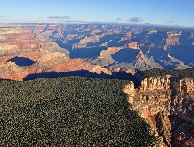 View as the Aircraft Leaves the Canyon and Begins to Fly over the South Rim Forest, Grand Canyon National Park, Arizona, United States