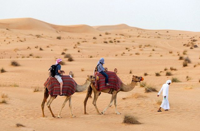 Camel Safari nel Deserto: Escursione Esclusiva in Cammello nella Dubai Desert Conservation Reserve | Le Migliori Escursioni nel Deserto a Dubai