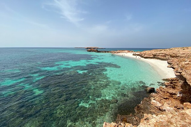 Dimaniyat Snorkeling Tour: Escursione in Barca alle Isole Dimaniyat da Muscat