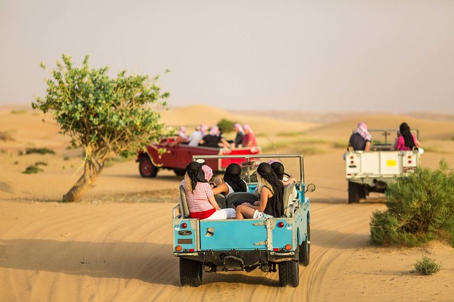 Luxury 4WD Tour nel Deserto a Dubai: Escursione Esclusiva in Land Rover nella Dubai Desert Conservation Reserve | Le Migliori Escursioni nel Deserto a Dubai