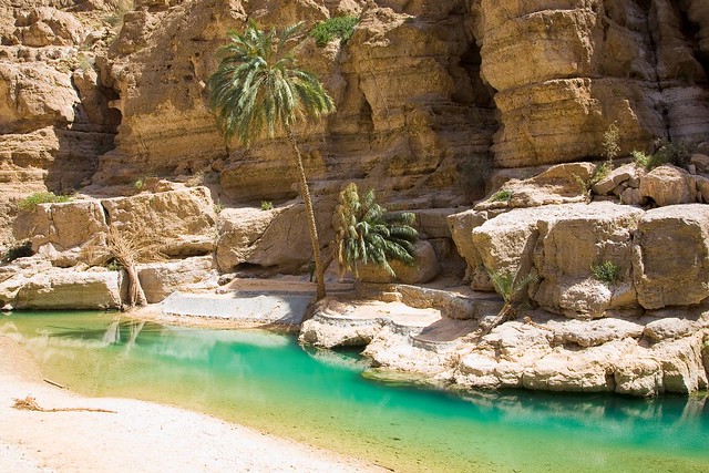 Wadi Shab Tour: Escursione da Muscat al Wadi Shab, il Canyon Più Bello e Spettacolare dell’Oman