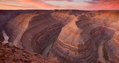 Come Visitare Goosenecks State Park e Forrest Gump Point