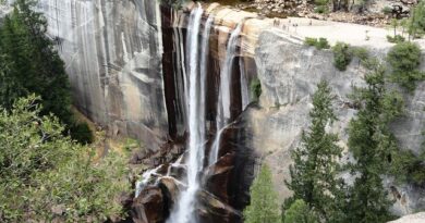 Cosa Vedere e Cosa Fare a Yosemite: Le 2 Escursioni Più Belle e Facili di Yosemite National Park