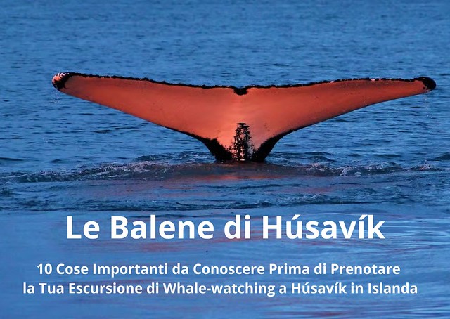 Le Balene di Husavik in Islanda Le Balene di Husavik in Islanda