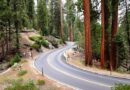 Come Arrivare e Come Spostarsi a Sequoia National Park e Kings Canyon