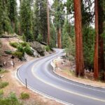 Come Arrivare e Come Spostarsi a Sequoia National Park e Kings Canyon