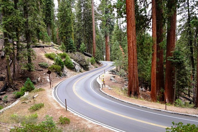 Come Arrivare e Come Spostarsi a Sequoia National Park e Kings Canyon