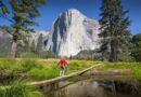 Come Arrivare e Come Spostarsi a Yosemite National Park