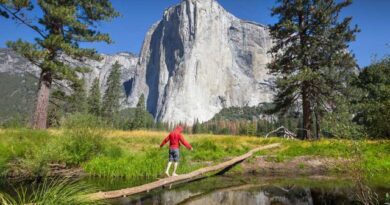 Come Arrivare e Come Spostarsi a Yosemite National Park