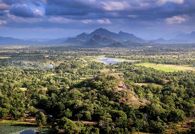 Cosa Vedere a Sigiriya: Le 7 Attrazioni Imperdibili da Vedere a Sigiriya Cosa Vedere a Sigiriya: Le 7 Attrazioni Imperdibili da Vedere a Sigiriya