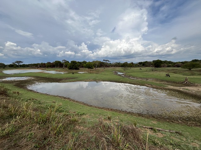 Pidurangala & Lion Rocks Viewpoint: il Punto Panoramico Più Selvaggio e Segreto di Sigiriya Pidurangala & Lion Rocks Viewpoint: il Punto Panoramico Più Selvaggio e Segreto di Sigiriya | Cosa Vedere a Sigiriya: le 7 Attrazioni Più Belle da Non Perdere a Sigiriya nello Sri Lanka