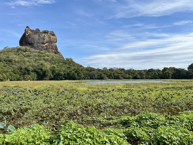Sigiriya Tank: il Viewpoint Più Ravvicinato su Sigiriya Rock | Cosa Vedere a Sigiriya: le 7 Attrazioni Più Belle da Non Perdere a Sigiriya Sigiriya Tank: il Viewpoint Più Ravvicinato su Sigiriya Rock | Cosa Vedere a Sigiriya: le 7 Attrazioni Più Belle da Non Perdere a Sigiriya nello Sri Lanka