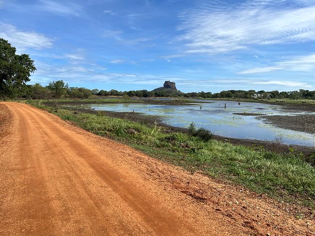 Sigiriya Viewpoint: Un Laghetto Incantevole, Tanti Uccelli e Vista da Urlo sulla Lion Rock Sigiriya Viewpoint: Un Laghetto Incantevole, Tanti Uccelli e Vista da Urlo sulla Lion Rock | Cosa Vedere a Sigiriya: le 7 Attrazioni Più Belle da Non Perdere a Sigiriya nello Sri Lanka