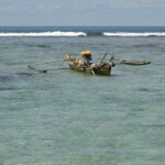 La barriera corallina, Pulau Cubadak