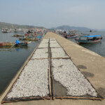 Il lungo molo del villaggio di Corokok Corokok fishing village in Sumatra, Indonesia