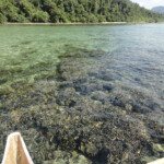 Navigando su una canoa a bilanciere in non più di 30 cm di acqua... Sailing an outrigger canoe in Pulau Cubadak Indonesia