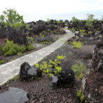 Batu Angus, Pulau Ternate Lava flow at Batu Angus in Pulau Ternate Maluku Indonesia