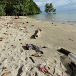 Questa è Pantai Liang Plastic and Garbage on Pantai Liang Beach on Bunaken Island, North Sulawesi, Indonesia