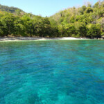 Mar delle Molucche, per chi cerca spiagge deserte senza tracce di altri visitatori... A White and Deserted Beach in the Molucca Sea in Indonesia