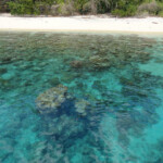 Questo è un mare ricchissimo di biodiversità… One of the White, Deserted and Unnamed Beaches along the North-eastern Peninsula of Sulawesi in Indonesia