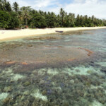 La lunga spiaggia principale di Pulau Bangka di fronte al Coral Eye Pulau Bangka has one of the Greatest Beaches of Indonesia