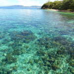 Pulau Bangka, la spiaggia con l’alta marea Pulau Bangka Beach with High Tide