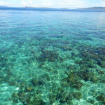 Il magnifico reef di Pulau Bangka Coral Reef infront of Pulau Bangka Beach in Sulawesi Indonesia