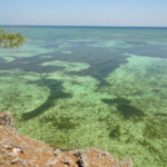 Il Mare di Flores ha dei colori così belli da stropicciarsi gli occhi... Pantai LIang Kareta is the best cove of Pulai Pasi near Selayar Island in South Sulawesi Indonesia