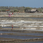Saline lungo la strada tra Makassar e Tanjung Bira View of saltworks on the road from Makassar to Bira in South Sulawesi in Indonesia