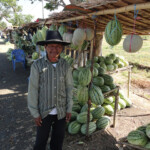 Lungo la strada da Makassar a Tanjung Bira Watermelon seller on the road from Makassar to Bira in South Sulawesi Indonesia