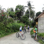 Tranquille stradine nella campagna balinese A Street in the Countryside of Bali in Indonesia