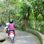 Scimmie lungo il passaggio pedonale che porta al villaggio di Nyuhkuning Monkeys in Ubud on Bali Island in Indonesia
