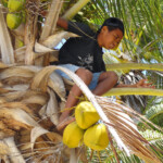 Coconut Boy! Coconut boy near Apatana fishing village in Selayar Island South Sulawesi Indonesia
