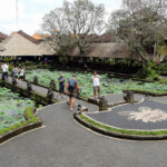 Lotus Cafe al Pura Taman Saraswati Lotus Café from Pura Taman Saraswati Temple in central Ubud in Bali, Indonesia