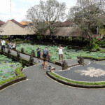 Lotus Cafe al Pura Taman Saraswati Lotus Café from Pura Taman Saraswati Temple in central Ubud in Bali, Indonesia
