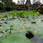 Pura Taman Saraswati Temple, Ubud Pura Taman Saraswati on Jalan Raya in central Ubud Bali