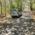 Lungo la strada tra Benteng ed Apatana Road to Apatana in Selayar Island South Sulawesi Indonesia