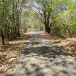 Una strada fino ai confini del mondo... Travelling by road to Apatana in South Selayar Island South Sulawesi in Indonesia