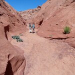 Ormai sulla via del ritorno Walking in the Sand of Waterholes Canyon near Page in Arizona