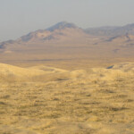 Il panorama sul versante nord Devils Playground and Kelso Peak from Kelso Dunes in the Mojave National Preserve in California