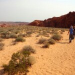 L’inizio del sentiero per la Fire Wave Fire Wave Trailhead starting the walk to the Fire Wave in Valley of Fire State Park in Nevada