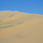 Finisce la vegetazione… Kelso Dunes in the Mojave National Preserve in California