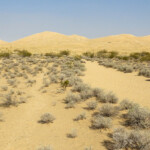 09:45 AM: di ritorno al trailhead Near Kelso Dunes Trailhead in the Mojave National Preserve in California