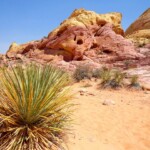 La magia del deserto On the White Domes Loop in Nevada Desert