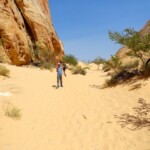 E prosegue in discesa... Sandy section of White Domes Loop Trail in Valley of Fire State Park in Nevada