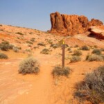 I paletti segnaletici Sandy section on Fire Wave Trail in Valley of Fire State Park in Nevada