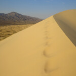 Verso la cima Few traces on the Top of Kelso Dunes in the Mojave National Preserve in California