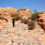 La segnaletica è davvero eccellente The exit from the slot on White Domes Loop in Valley of Fire State Park in Nevada