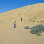 La discesa è divertente The steepest section of Kelso Dunes in the Mojave National Preserve in California